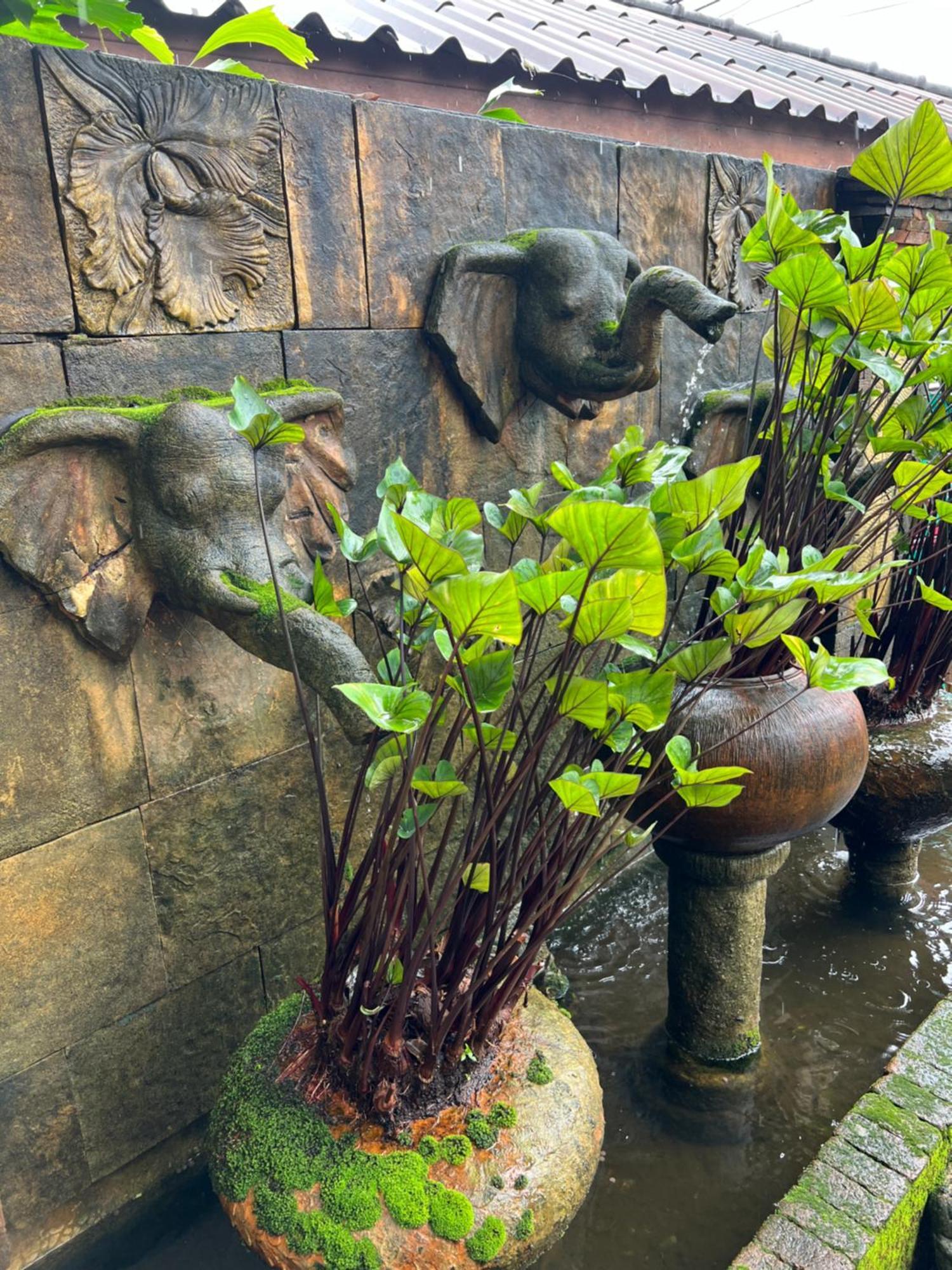 Baan Ton Rak Boutique Resort Koh Chang Bagian luar foto
