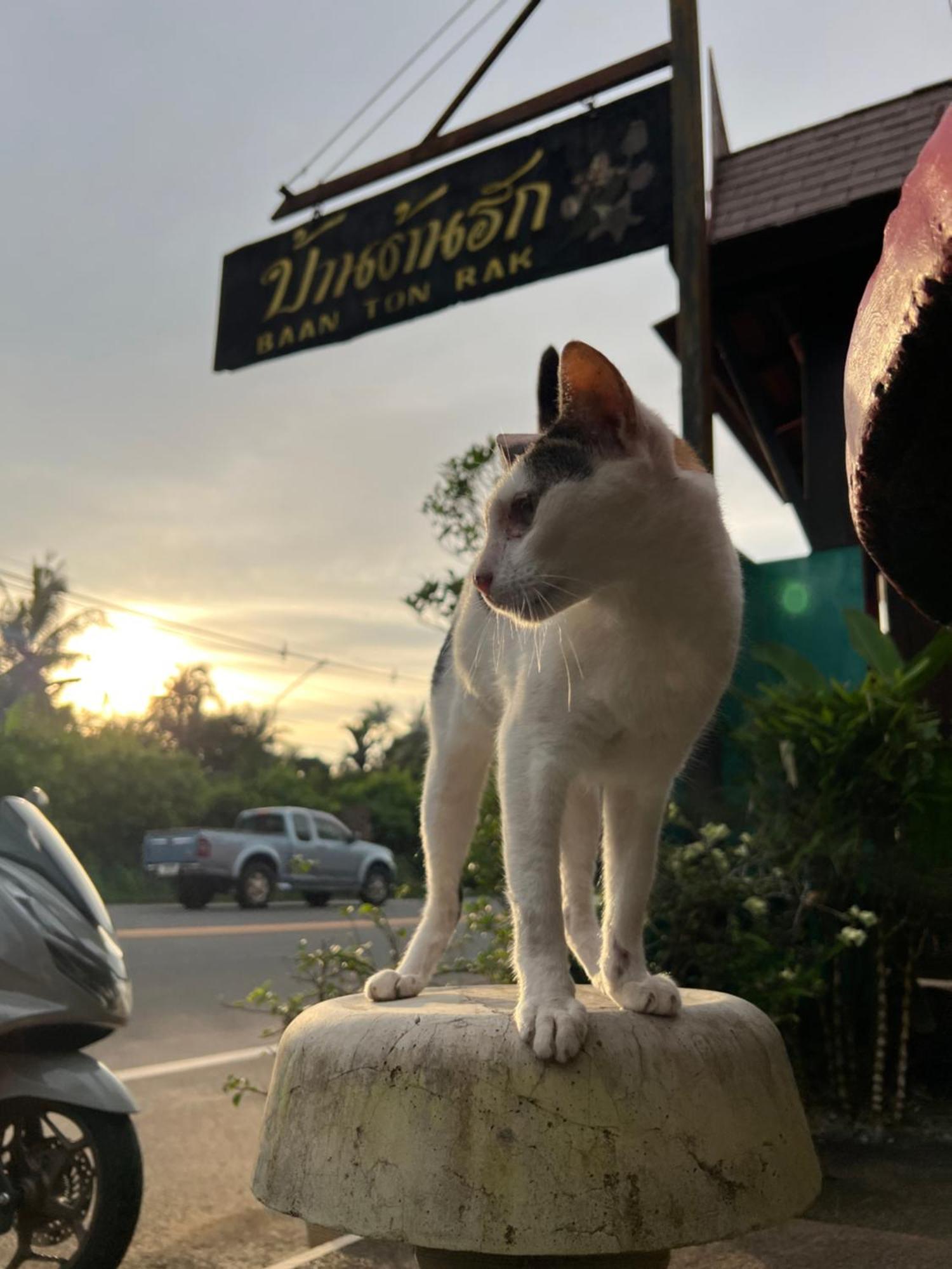 Baan Ton Rak Boutique Resort Koh Chang Bagian luar foto